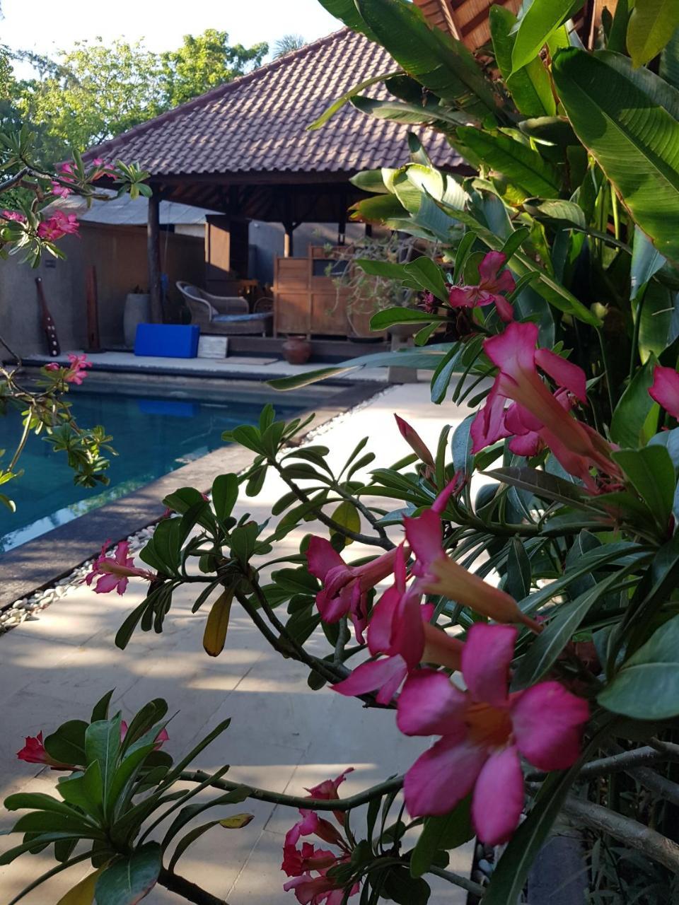 Gili Exotic Villa Гили Траванган Экстерьер фото
